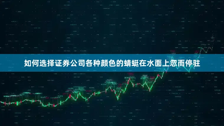 如何选择证券公司各种颜色的蜻蜓在水面上忽而停驻