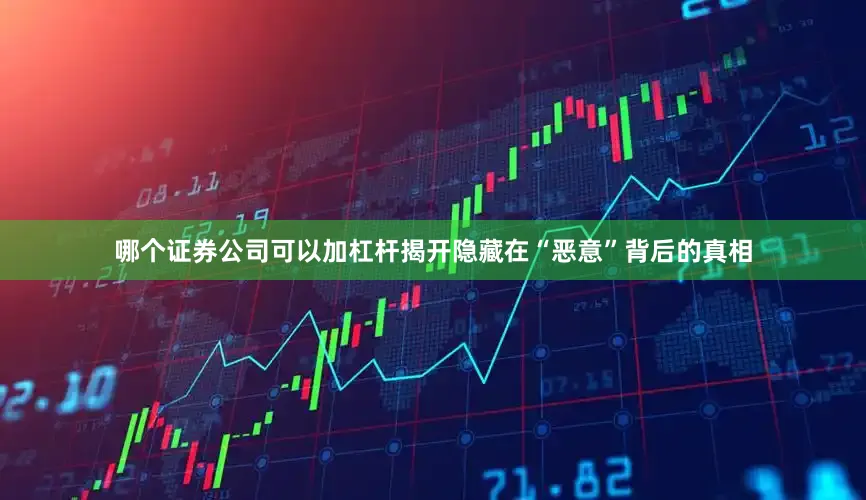 哪个证券公司可以加杠杆揭开隐藏在“恶意”背后的真相