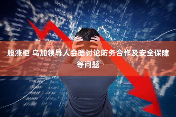 股涨柜 乌加领导人会晤讨论防务合作及安全保障等问题