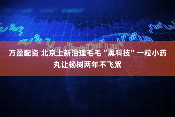 万盈配资 北京上新治理毛毛“黑科技”一粒小药丸让杨树两年不飞絮