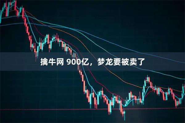 擒牛网 900亿，梦龙要被卖了