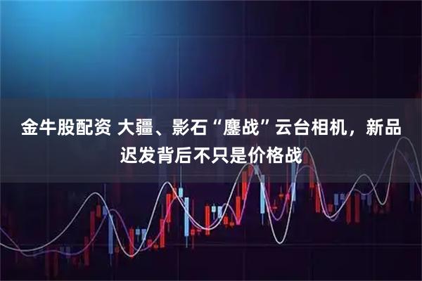 金牛股配资 大疆、影石“鏖战”云台相机，新品迟发背后不只是价格战