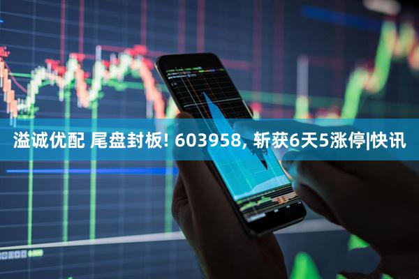 溢诚优配 尾盘封板! 603958, 斩获6天5涨停|快讯